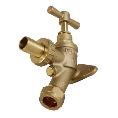 15mm x 1/2" DZR Wall Plate Hose Union Bib Tap with Double Check Valve