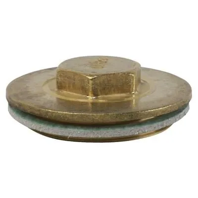 2 1/4" Brass Immersion Plug & Washer Hot Cylinder Blanking