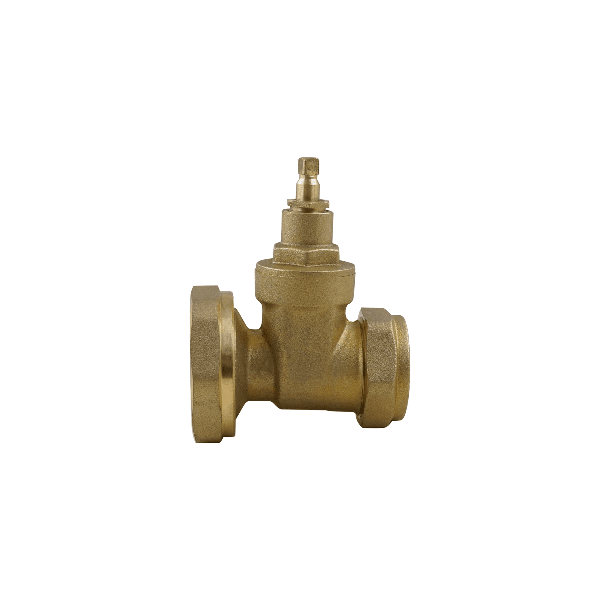 Gate Type Pump Valve